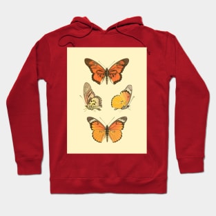 Orange Butterflies Vintage Illustration 70s Style Hoodie